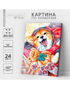 Картина по номерам на холсте с подрамником «Корги с игрушкой», 40×50 см Школа талантов