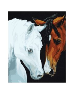 Картина по номерам «Нежные чувства», с подрамником, 40×50 см, на чёрном холсте Три совы