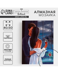 Алмазная мозаика с полным заполнением на холсте «Влюбленная пара», 40×50 см Школа талантов