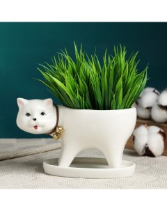 Декоративный горшок для цветов «Кошка», 250 мл, 15.5×7.5×9.5 см, с поддоном, керамика, белый Greengo