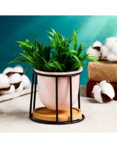 Горшок для цветов «Сосуд», 250 мл, 12×8.5 см, керамика, с поддоном, с подставкой, розовый Take it easy