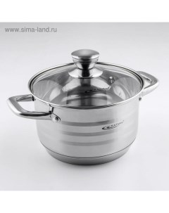 Кастрюля «Элис», 3.5 л, d=20 см, капсульное дно, индукция, нержавеющая сталь Катунь