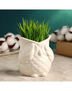 Горшок для цветов «Сова Букля» керамический, 300 мл, 9.5×9 см, белый Take it easy