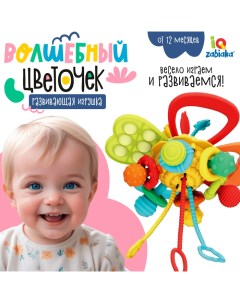 Развивающая игрушка «Волшебный цветочек» Iq-zabiaka