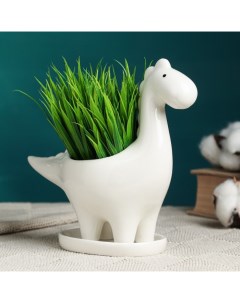 Горшок для цветов «Диплодок», керамический, 150 мл, 18×7.5×15.5 см, с поддоном, белый Greengo