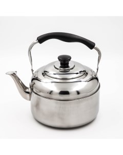 Чайник, 4 л, нержавеющая сталь Astell