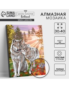 Алмазная мозаика с полным заполнением на подрамнике «Волки», 30×40 см Школа талантов