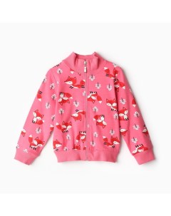 Толстовка для девочки, цвет розовый, рост 104 см Bonito