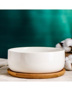 Горшок для кактусов и суккулентов «Эко Бонсай» керамический, 800 мл, 17×7 см, с деревянной подставкой, белый Take it easy