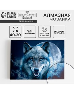 Алмазная мозаика с частичным заполнением на холсте «Магия волка», 30 х 40 см Школа талантов