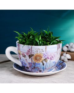 Горшок для цветов в форме чашки «Блум: Марсель» керамический, с поддоном, 1 л, 19×24×12 см, бело-голубой с рисунком Take it easy