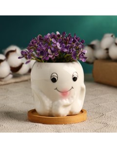 Горшок для цветов «Осьминожка» керамический, 200 мл, 8×8×7.5 см, белый Take it easy