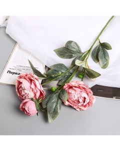 Цветы искусственные «Пион Эльза», h=64 см, d=10 см, розовые Poetry in flowers