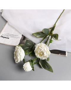 Цветы искусственные «Пион Эльза», h=64 см, d=10 см, белые Poetry in flowers