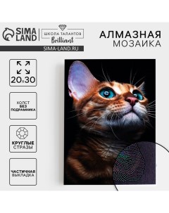 Алмазная мозаика с частичным заполнением на холсте «Взгляд кошки», 20×30 см Школа талантов
