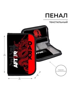 Пенал 1 секция 140 х 210 х 40 мм, откидной карман и косметичка, тканевый, TOP Content "Дракон" Calligrata