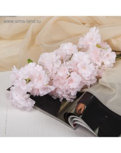 Цветы искусственные «Японская вишня», 5×88 см, розовые Poetry in flowers