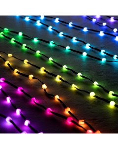 Умная гирлянда «Нить» 5 м роса с насадками «Шарики», IP20, черный провод, 100 LED, пульт ДУ, приложение, свечение RGB, USB Luazon lighting