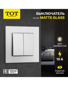 Выключатель Matte Glass, 10 А, 2 клавиши, скрытый монтаж, стеклянная рамка, серебристый Tot