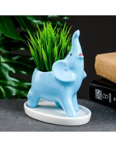 Горшок для цветов «Слон Гидеон», керамический, 100 мл, 14.5×7.5×12 см, с поддоном, голубой Take it easy