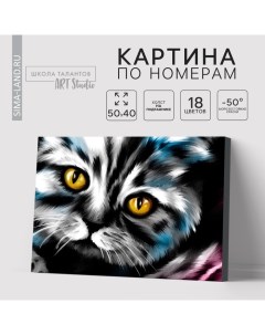 Картина по номерам на холсте с подрамником «Котик», 40 х 50 см Школа талантов
