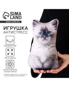 Антистресс игрушка «Котик Рэгдолл» Mni mnu