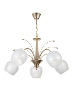 Люстра «Соната» 5хЕ27 40 Вт золото 65×65×33-54 Bayerlux