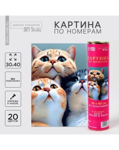 Картина по номерам в тубусе «Котята», 30×40 см Школа талантов