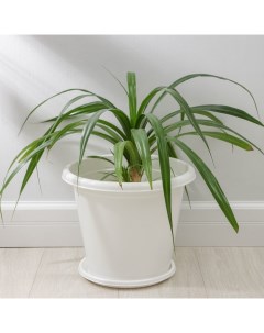 Горшок для цветов с поддоном «. Эконом», 10 л, пластиковый, белый Альтернатива