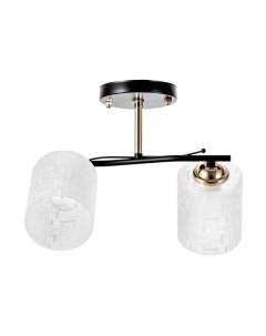 Люстра потолочная «Ассела», 2хЕ27, 40 Вт, черно-золотой, 46×20×27 см Bayerlux