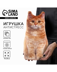 Игрушка-антистресс «Рыжий кот», 19×28 см Mni mnu