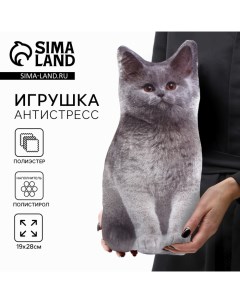 Игрушка-антистресс «Серый кот», 19×28 см Mni mnu
