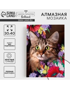 Алмазная мозаика с полным заполнением «Кот в цветах» 30×40 см, холст, ёмкость Школа талантов