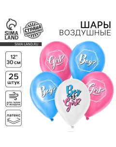Воздушные шары латексные 12" «Мальчик или девочка?», 25 шт. Страна карнавалия