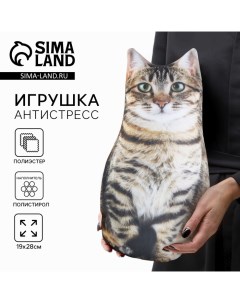 Игрушка-антистресс «Котик» Mni mnu