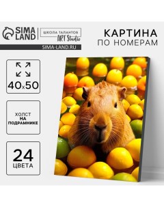 Картина по номерам на холсте с подрамником «Капибара в пруду», 40×50 см Школа талантов