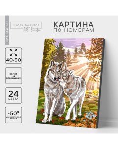 Картина по номерам на холсте с подрамником «Волки», 40×50 см Школа талантов