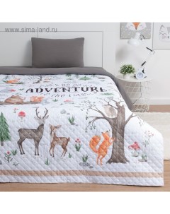 Покрывало 1.5-спальное «» Adventure, 145×210 см, микрофибра Этель