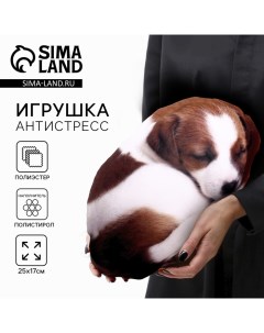 Игрушка антистресс, собака «Малыш Джек-рассел» Mni mnu