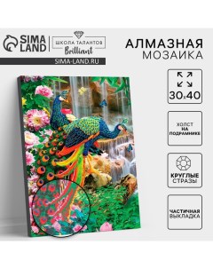 Алмазная мозаика с частичным заполнением на подрамнике «Павлины», 30×40 см Школа талантов