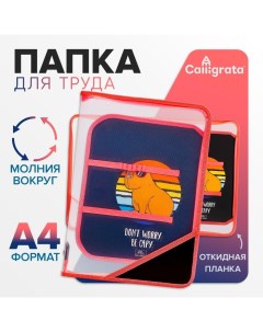 Папка для труда, А4, пластиковая, 23×32.5×2.5 см, Be capy Calligrata