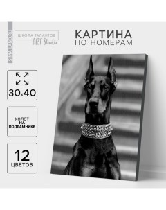 Картина по номерам на холсте с подрамником «Доберман», 30×40 см Школа талантов