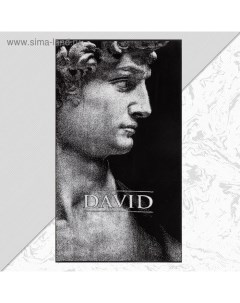 Полотенце махровое «Давид» 70×130 см, 100% хлопок, 420 г/м², чёрно-белое Этель