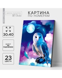Картина по номерам на холсте с подрамником «Сказочная сова», 30х40 см Школа талантов