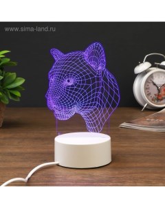 Светильник «Пантера» LED RGB от сети Risalux