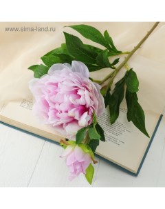 Цветы искусственные «Пион дуо», 12×60 см, сиреневые Poetry in flowers