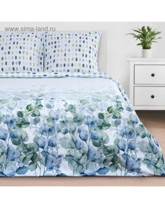 Постельное бельё евро «» Eucalyptus, поплин Этель
