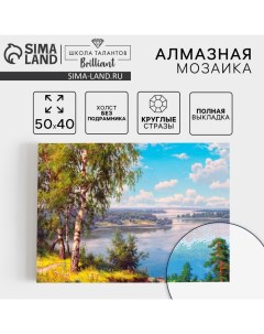 Алмазная мозаика с полным заполнением на холсте «Березки», 40 х 50 см Школа талантов