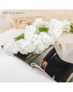 Цветы искусственные «Японская вишня», 5×88 см, белые Poetry in flowers