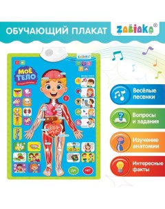 Обучающий плакат «Изучаем анатомию: Моё тело» Zabiaka